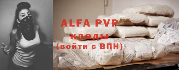 ешки Новодвинск