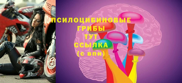 a pvp Новозыбков