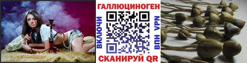 Галлюциногенные грибы Cubensis  Прокопьевск 