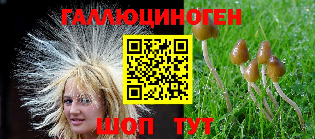 Псилоцибиновые грибы ЛСД  Вход с VPN  Галлюциногенные грибы мухоморы  Прокопьевск 
