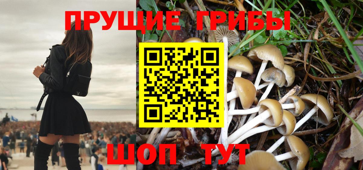 Псилоцибиновые грибы ЛСД Прокопьевск